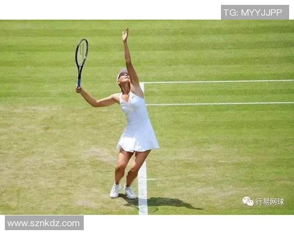 南京网球队防守体系解析与战术运用的深度探讨